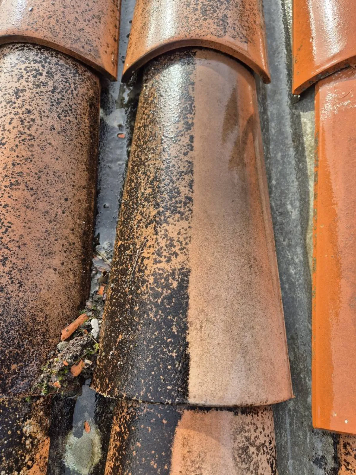 Nettoyage toiture tuiles Paris